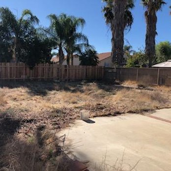 Efrain Tree Services - After - Tree Services Near Me