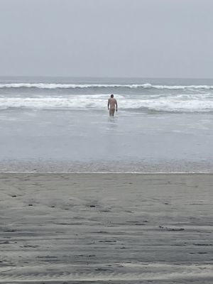 Black's Beach by null