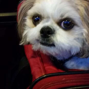 Pinchers - Pet friendly of course be we r at wiregrass - Seafood Near Me - Wesley Chapel, Florida Pinchers - Pet friendly of course be we r at wiregrass - Seafood Near Me - Wesley Chapel, Florida