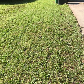 Mario Lawn Service - a clean lawn in a residential area - Lawn Services Near Me