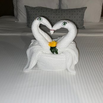 Wyndham Alltra Cancun - Last night surprise from the housekeeper...my son wanted to sleep with it like it was a stuff animal - Hotels Near Me - Cancún, ROO