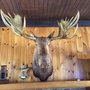 Photo of Presque Isle Yacht Club