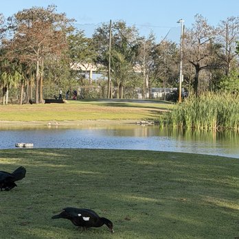 Osswald Park - First hole is tough! - Parks Near Me - Fort Lauderdale, Florida Osswald Park - First hole is tough! - Parks Near Me - Fort Lauderdale, Florida