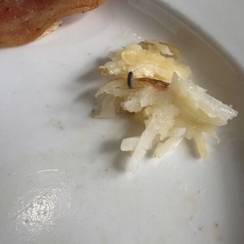 French Valley Cafe - Bug in my Hash brown - American Near Me - Murrieta, California French Valley Cafe - Bug in my Hash brown - American Near Me - Murrieta, California