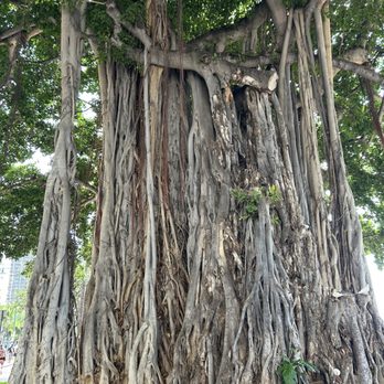 Kuhio Beach Park - Parks Near Me - Honolulu, Hawaii