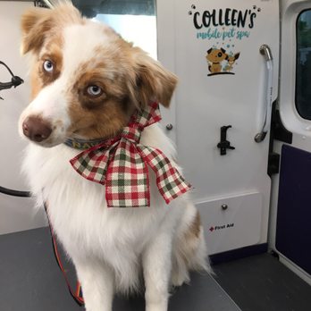 Colleens Mobile Pet Spa - Pet Groomers Near Me - Calabasas, California Colleens Mobile Pet Spa - Pet Groomers Near Me - Calabasas, California