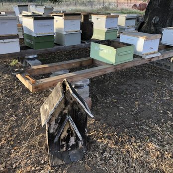 Bee Best Bee Removal - Relocating live bees from this birdhouse at a bee apiary for a customer - Pest Control Near Me - La Mesa, California
