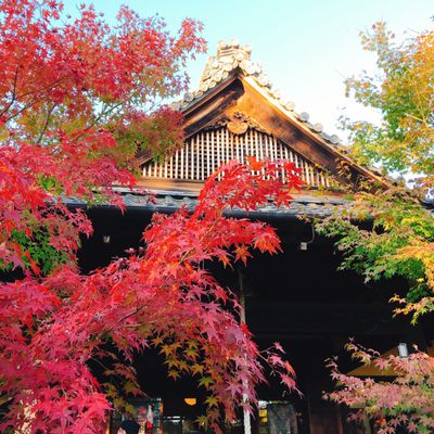 Shōrin-ji Temple by null