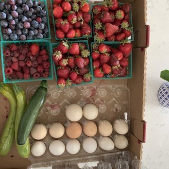 Daisy Creek Farms - Here's our bounty- only $31! - Pick Your Own Farms Near Me - Galt, California