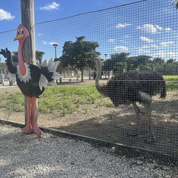 By Brothers - Fruits & Veggies Near Me - Miami, Florida By Brothers - Fruits & Veggies Near Me - Miami, Florida