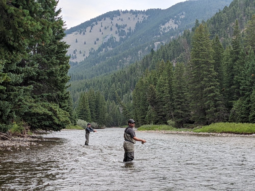 Wild Trout Outfitters Logo