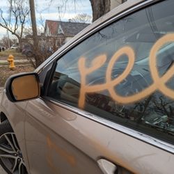 Paul's Quality Collision - Graffiti