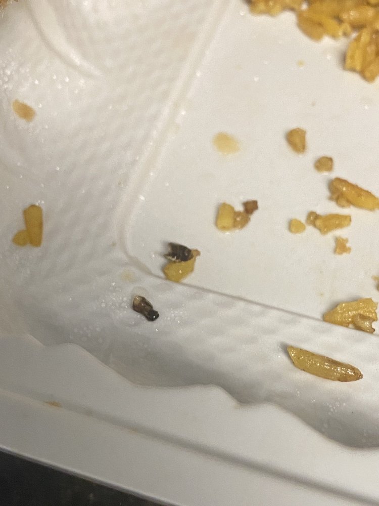 WING WAH KITCHEN Updated September 2024 12 Photos & 28 Reviews