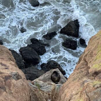 Point Dume Cove Trail - Cormorant - Hiking Near Me - Malibu, California Point Dume Cove Trail - Cormorant - Hiking Near Me - Malibu, California