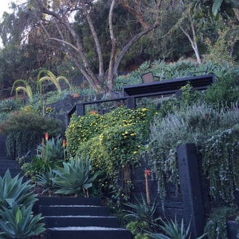 Leonardo Chalupowicz Studio - Agaves in bloom and levander - Landscaping Near Me