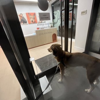 Small Door Veterinary - Upper East Side - Veterinarians Near Me - New York, New York Small Door Veterinary - Upper East Side - Veterinarians Near Me - New York, New York