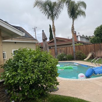 Paul's Tree Services & Stump Removal - Trimmed back my palms thx! - Tree Services Near Me Paul's Tree Services & Stump Removal - Trimmed back my palms thx! - Tree Services Near Me