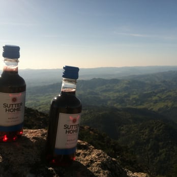 Robert Louis Stevenson State Park - St. Helena's finest wine on top of St. Helena's finest mountain :) - Parks Near Me - Calistoga, California
