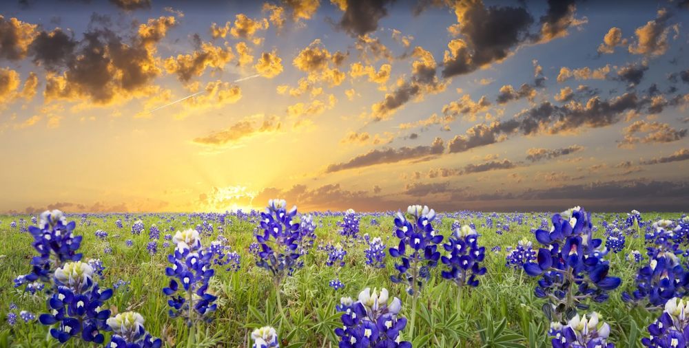 The Spencer Law Firm - disability attorney in San Antonio, TX