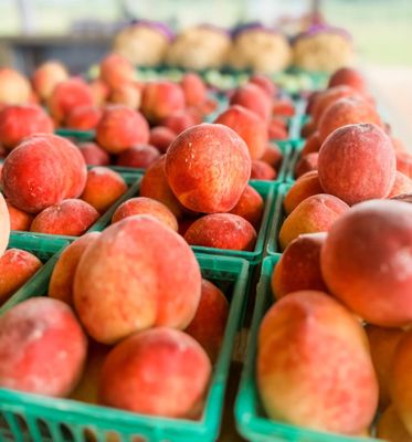 The Farmers Market at Brock's Gap by null
