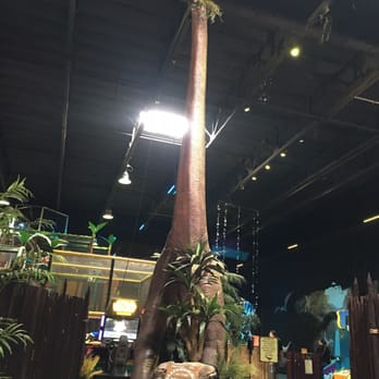 Lost Worlds - One of the dinosaurs in front of the play structure and reserved party areas. - Laser Tag Near Me - Livermore, California Lost Worlds - One of the dinosaurs in front of the play structure and reserved party areas. - Laser Tag Near Me - Livermore, California