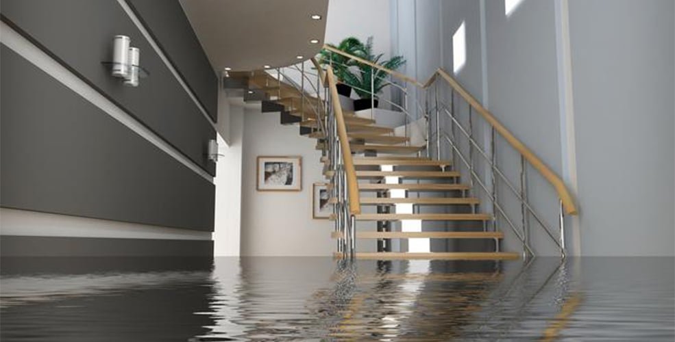 Slide of Tom's Plumbing Inc