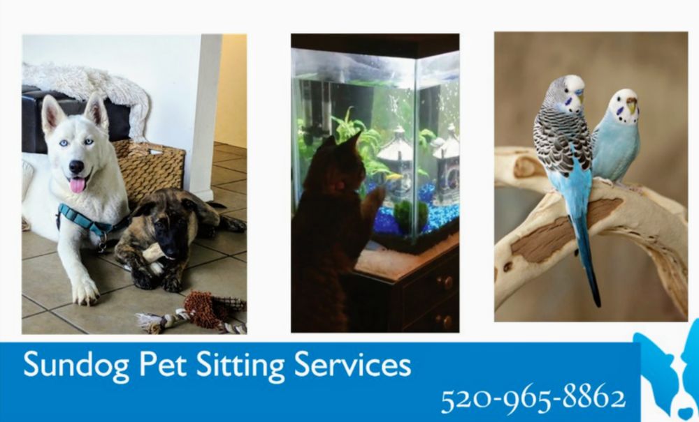 Sundog Pet Sitting Services - pet boarding facility in Tucson, AZ
