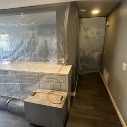 Ray Lewis Certified Mold Inspection