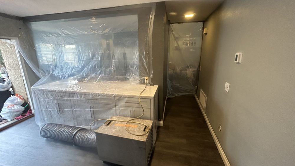 Ray Lewis Certified Mold Inspection - mold inspector in Palmdale, CA