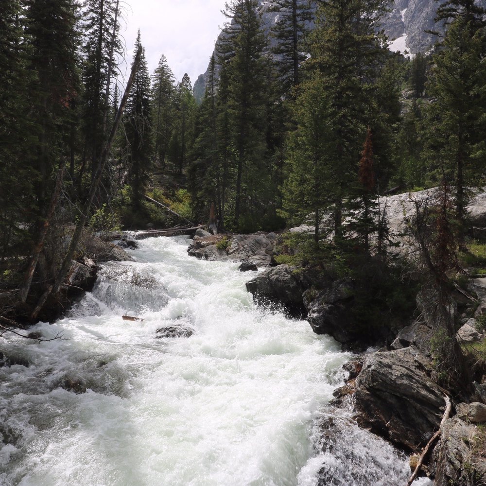 Jenny Lake Boating - Creek view - Hidden Falls - Boating Near Me - Moose, Wyoming