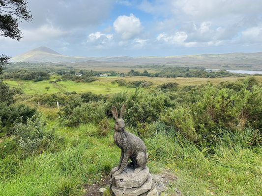 Connemara National Park by null