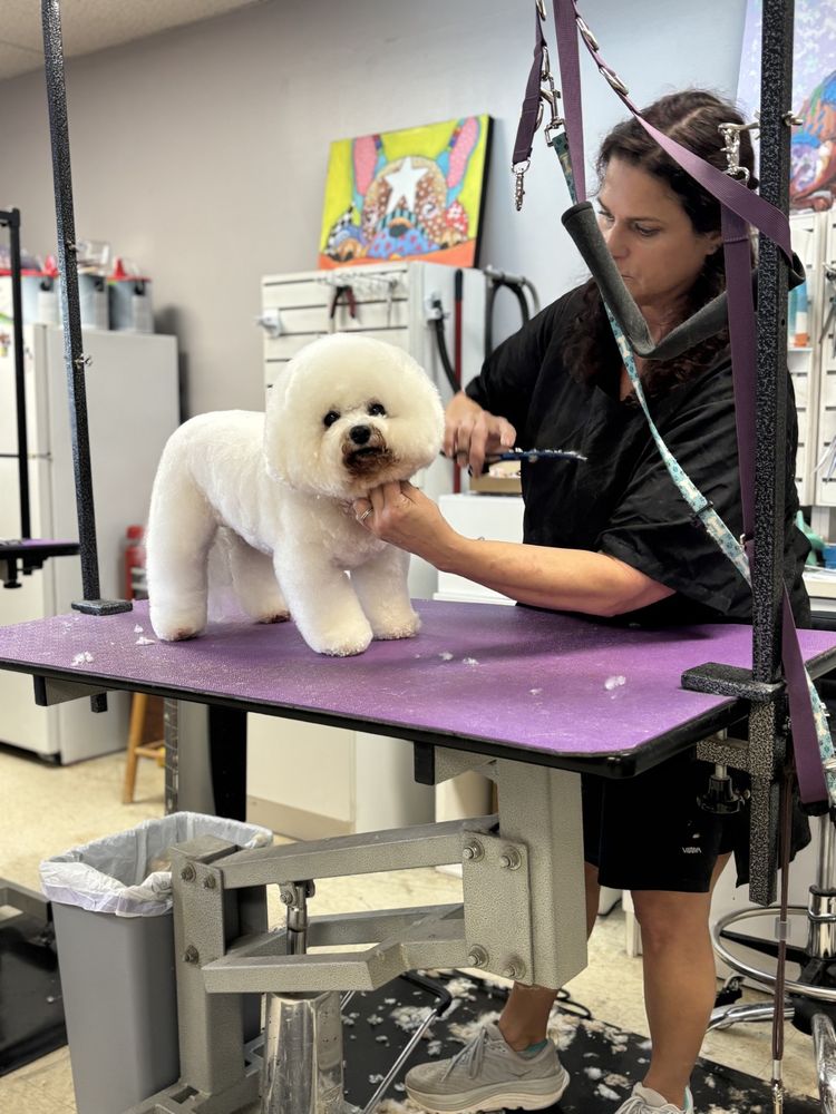 Canine Clipper Image