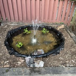 Congressional Aquarium - Garden pond
