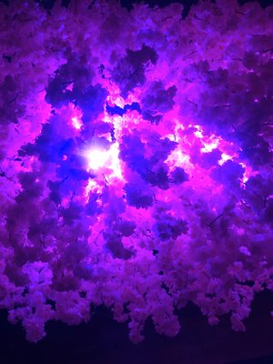 Mei Mei Philadelphia by null