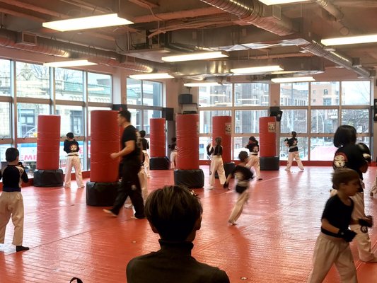 TIGER SCHULMANN’S MIXED MARTIAL ARTS 22 Reviews