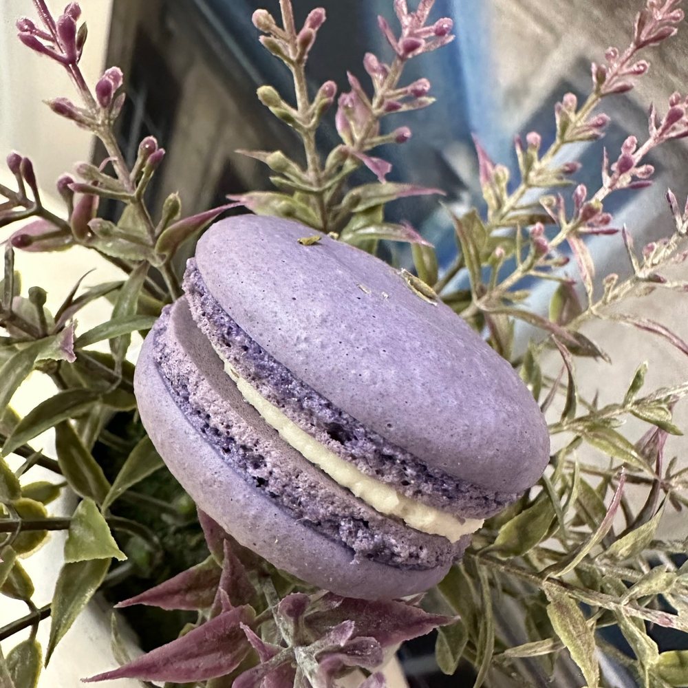 Cafe Genevieve - Macarons Near Me - Norfolk, Virginia Cafe Genevieve - Macarons Near Me - Norfolk, Virginia