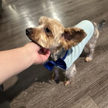 Oh So Cute! Dog Grooming - Haircut and bath - Pet Groomers Near Me - Moreno Valley, California Oh So Cute! Dog Grooming - Haircut and bath - Pet Groomers Near Me - Moreno Valley, California