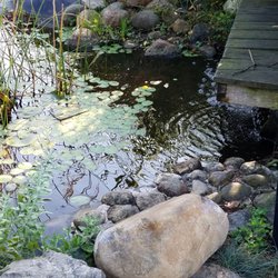 Art Center & Art Association of Henry County - Flowing koi pond water