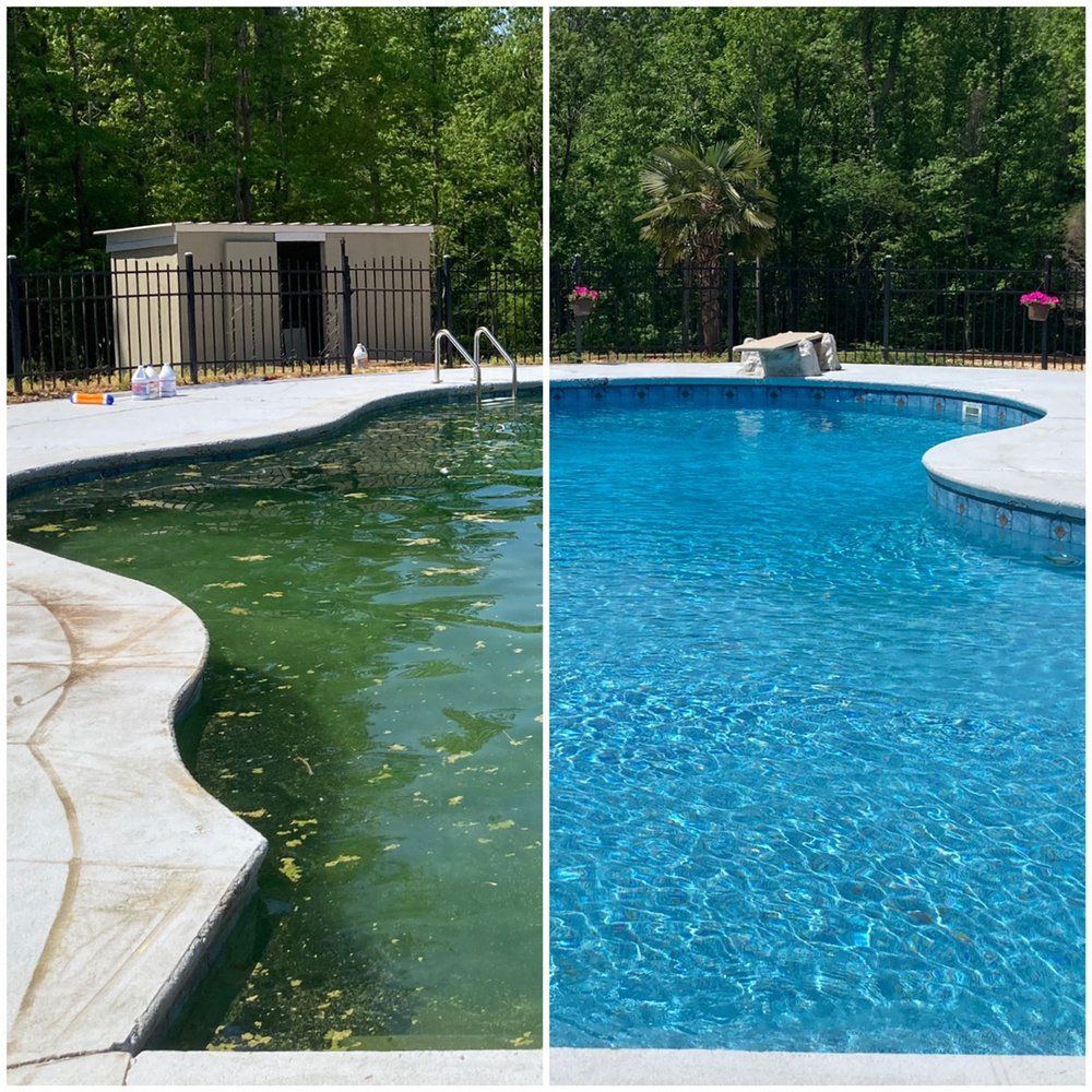 POOL ETHICS Updated March 2024 10 Photos Raleigh, North Carolina