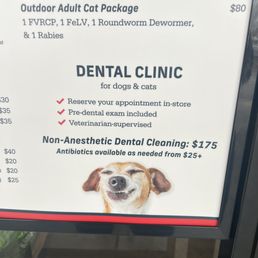Services Services