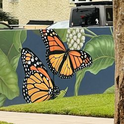 Monarch Butterflies