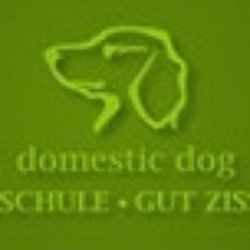 domestic dog