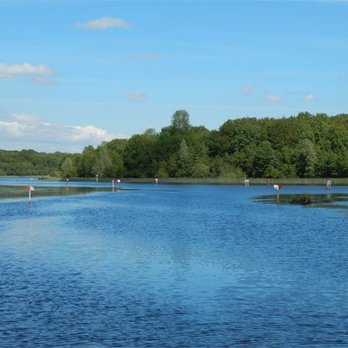 Shannon River - Boating Near Me - Roosky, RN Shannon River - Boating Near Me - Roosky, RN