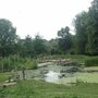Photo of Natuurspeeltuin de Natureluur