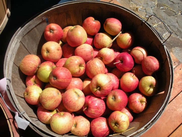 TWO ROCK RANCH - Updated January 2026 - 17 Photos - 1051 Walker Rd ...