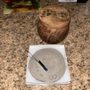 Photo of Pet Cremation Of Orlando