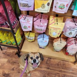 Top Dogs Pet Boutique - Treaterooos!