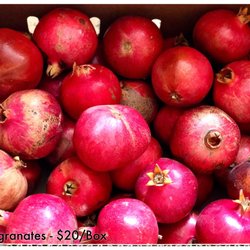 Blue Ridge Pomegranates - 10/21/2018