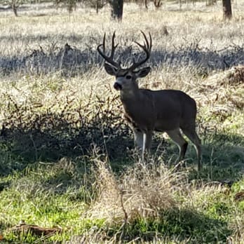 Effie Yeaw Nature Center - Visitor Centers Near Me - Carmichael, California