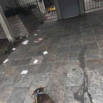 WestStar Property Management - Front entrance always dirty - Property Management Near Me - Gardena, California WestStar Property Management - Front entrance always dirty - Property Management Near Me - Gardena, California